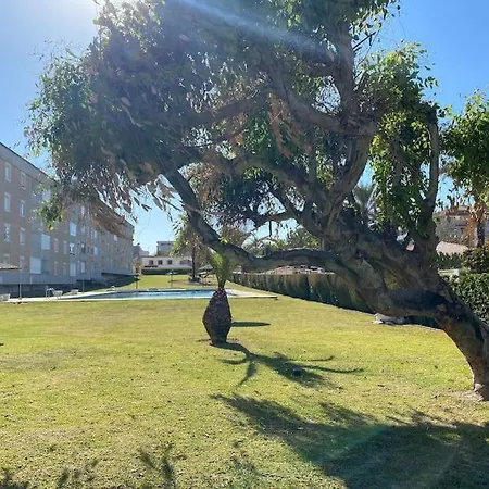 Stylish Frontline Punta Prima With Sea Views טורבייחה